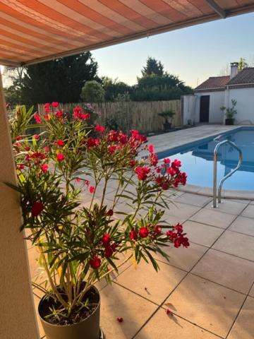 Bed and Breakfast Les Voyages De Louison à Lavardac Extérieur photo